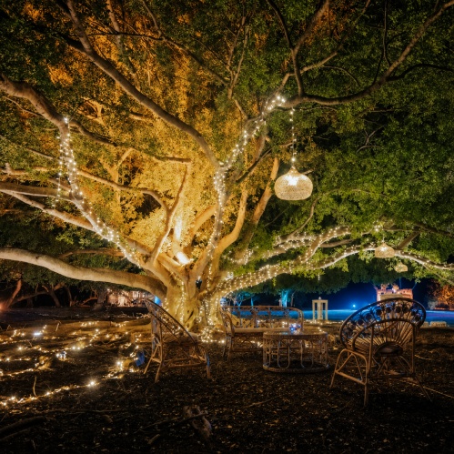 The Green Lawn at Night with Decorated Trees and Lightning